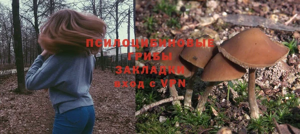 гидра Волосово
