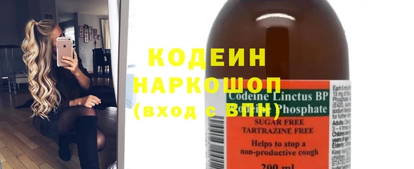 индика Волоколамск