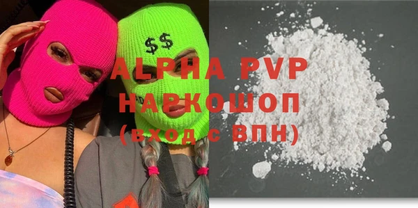 гашик Богданович