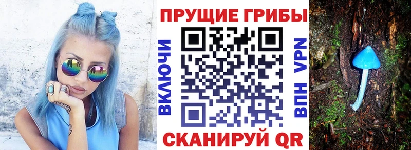 хочу Новоржев Галлюциногенные грибы мицелий
